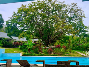 Aves Hotel Montezuma